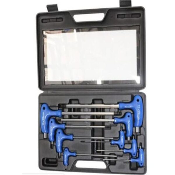 9PCE ALLEN KEY SET