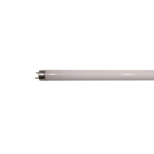 FLT8-18W-DL FLUORESCENT 18W 2FT - Image 3
