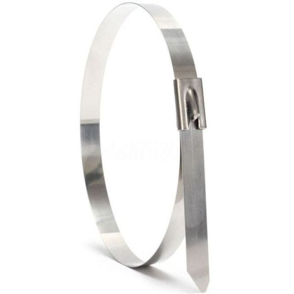 BL200-46 CABLE TIE 316S/STEEL 200LX4.6W - Image 6