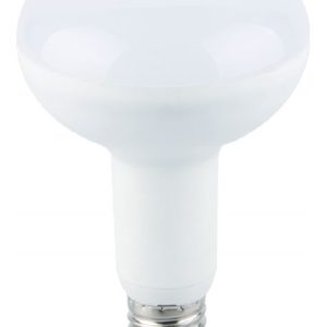 230VAC 10W E27 LED R80 LAMP COOL WHITE