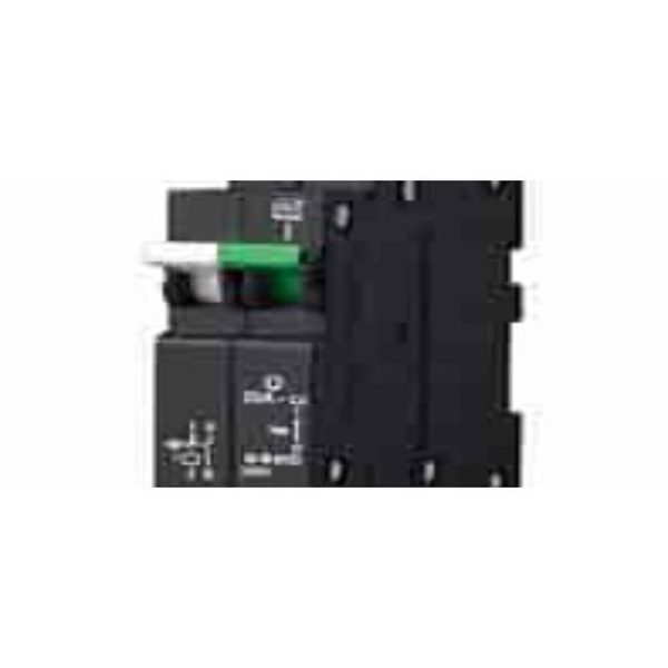 BREAKER CBI 6KA CURVE 2 1P 40A - Image 3